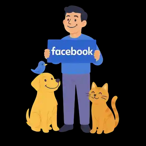 facebook fanpage